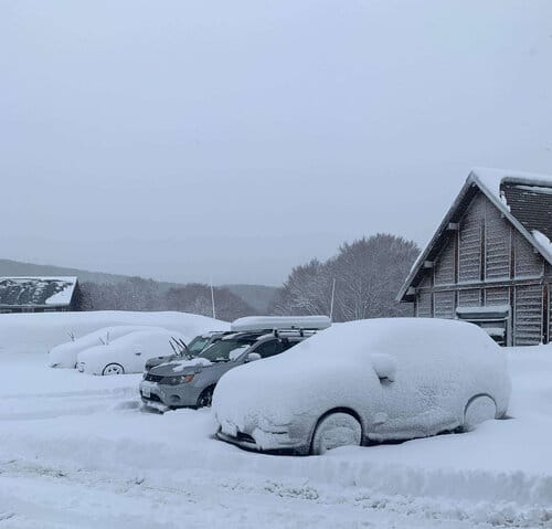 SNOW COVERED CARS - ALWAYS A GOOD SIGN
