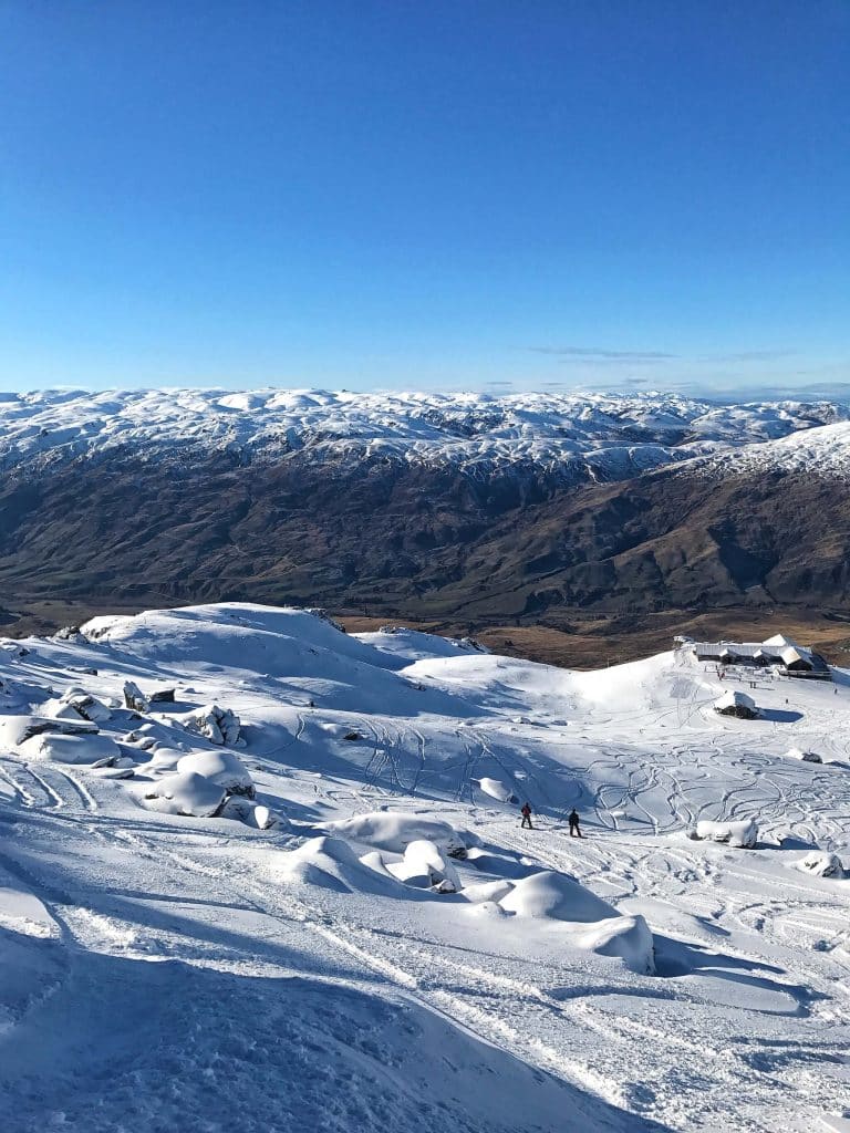 TULIPS, WITH CAPTAIN’S CAFE IN THE BACKGROUND