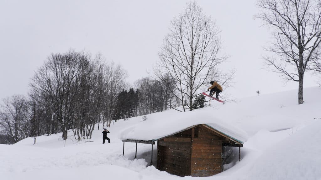 straight airing chao.jpg