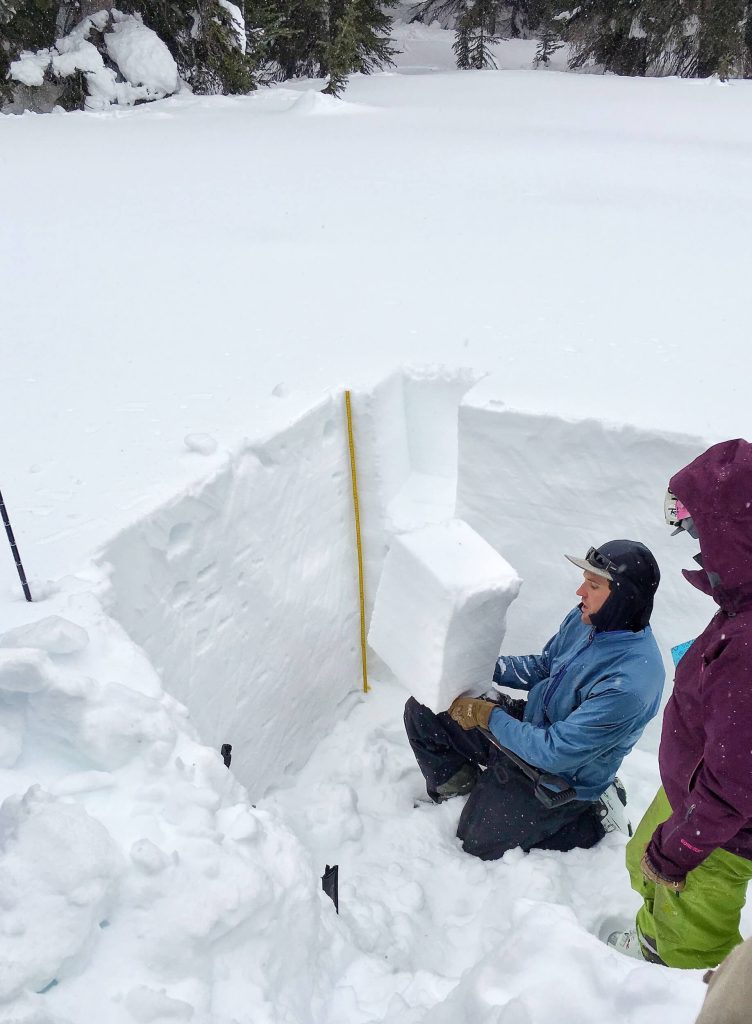 EXAMINING THE SNOW PACK