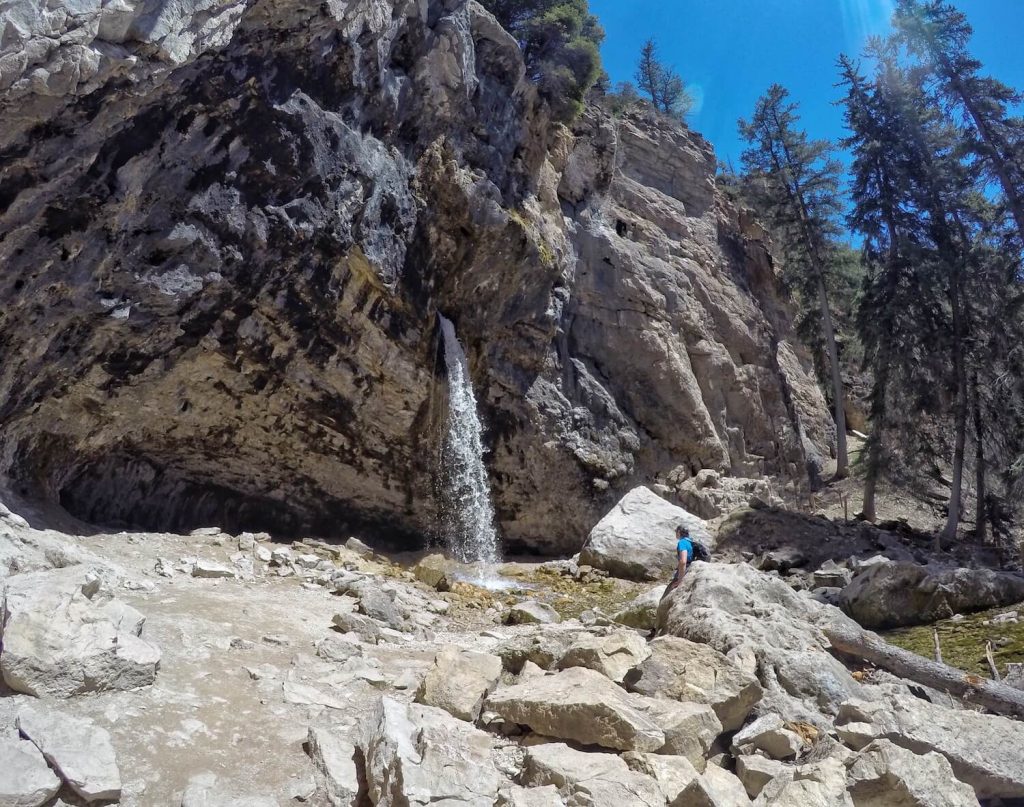 Sprouting Rock Colorado