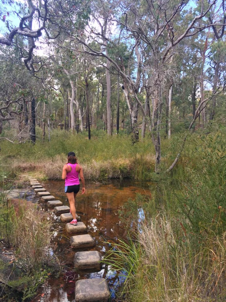 BLACKDOWN TABLELANDS NATIONAL PARK - QUEENSLAND