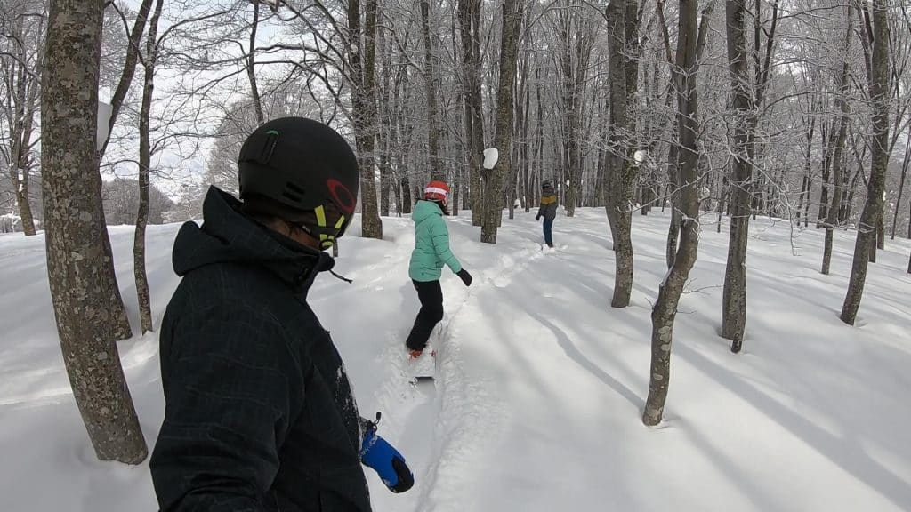 TREE RUN FUN IN THE YUNOMINE AREA