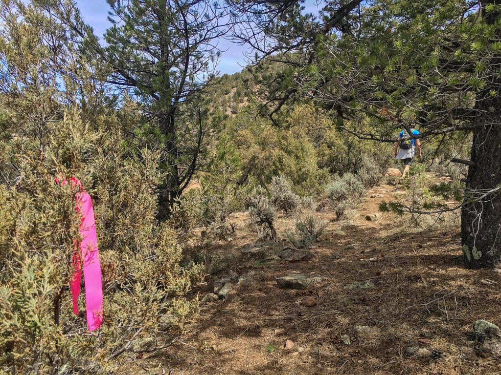 THERE ARE SOME MARKERS ALONG THE WAY TO HELP GUIDE YOU.