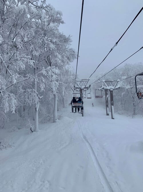 THE COSY DOUBLE CHAIR